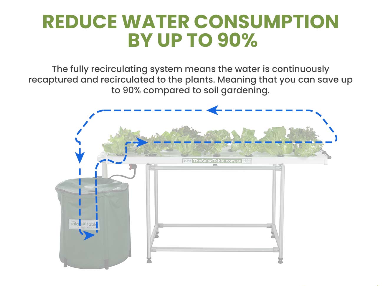 Growing Hydroponically Uses up to 90% Less Water